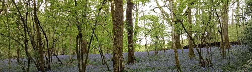 Kendal Conservation Volunteers