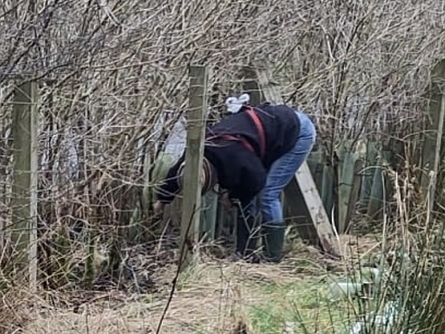 Working in the hedge
